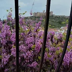 Casa Pradillo *