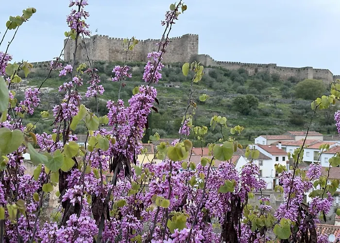 Casa Pradillo Трухильо